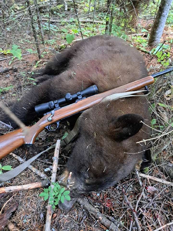 A 2-7x optic on a bolt action rifle.