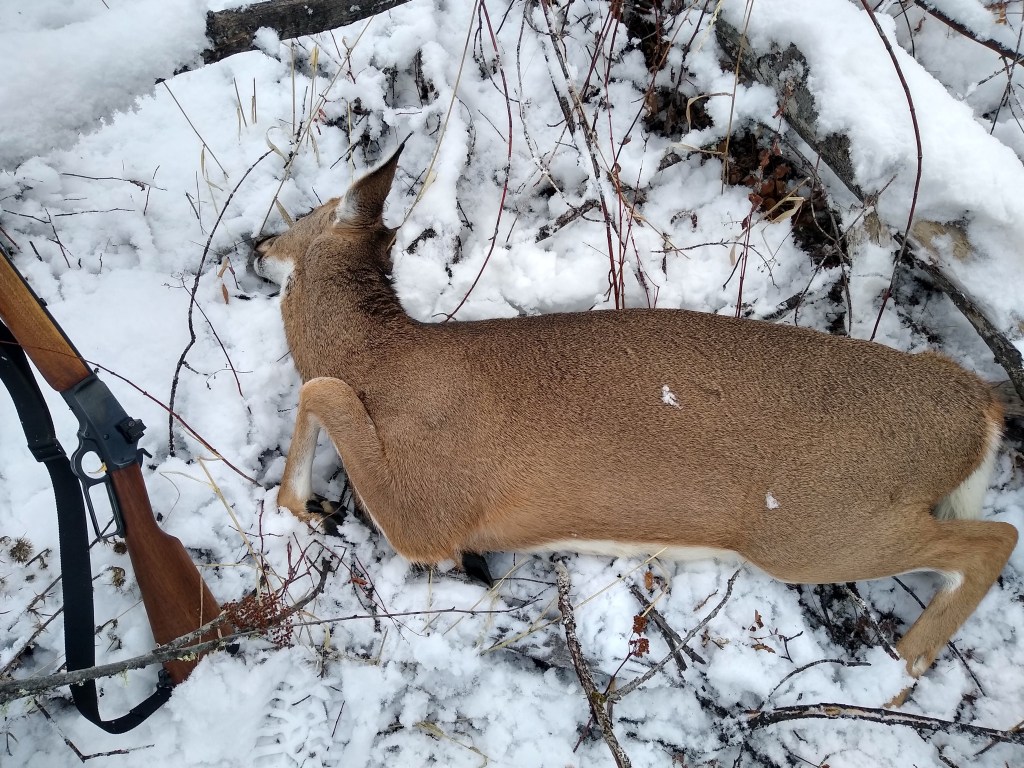 Williams Peep Sight on Marlin 1894 in 44 Magnum