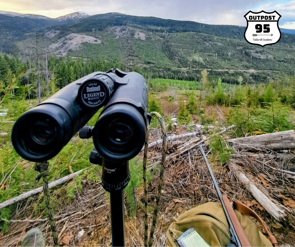 Watching the mountainside with binoculars.