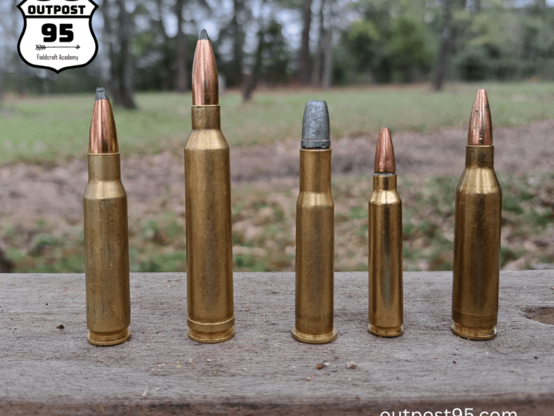 Picking a Rifle&nbsp;Cartridge